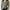 Blouses polo lapel single-breasted flared Collar Solid sleeve shirt Five-color women's slim long-sleeve Casual Streetwear top